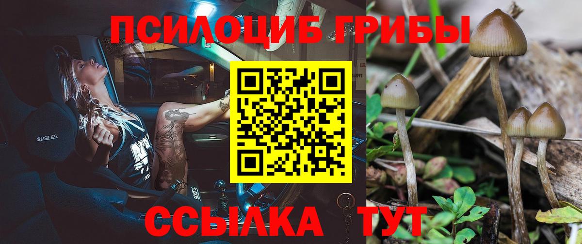 Ноябрьск  Галлюциногенные грибы MAGIC MUSHROOMS  Вход с VPN 