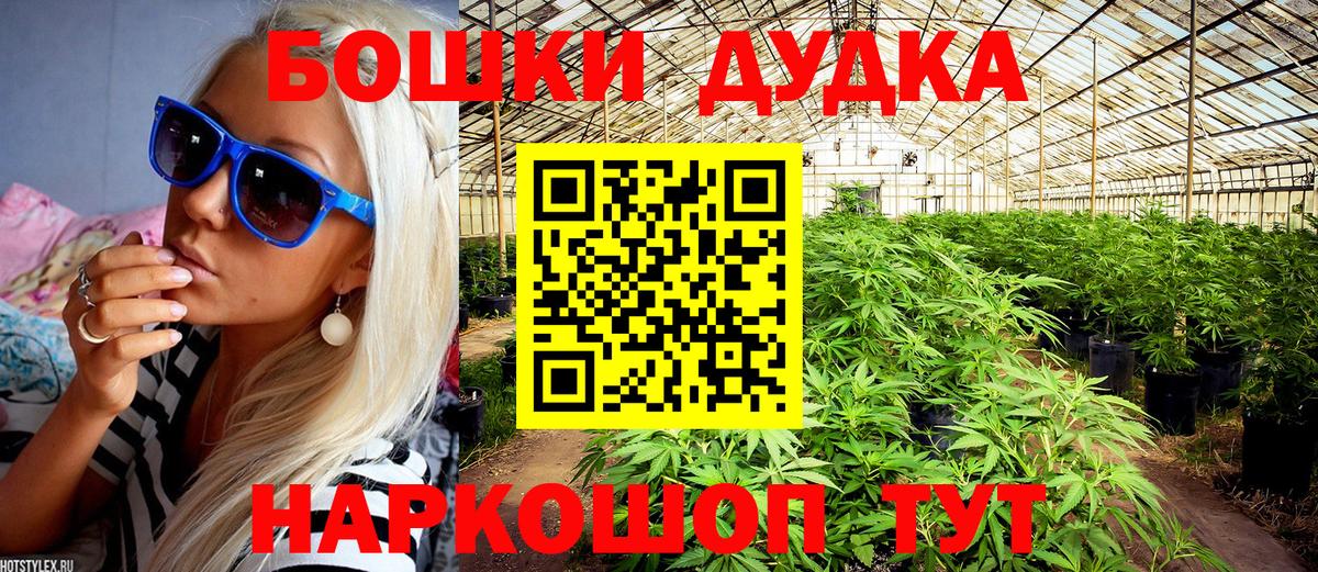 Бошки марихуана план  Шишки марихуана SATIVA & INDICA  Вход с VPN  Шишки марихуана ГИДРОПОН  Ноябрьск 