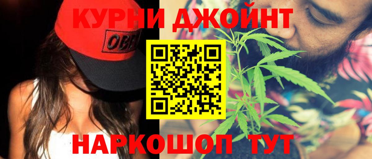 Конопля план Ноябрьск